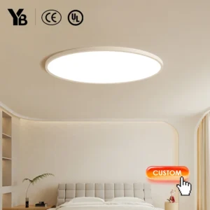 Modern Ultra-Thin LED Ceiling Light for Indoor Lighting 4000K Color Temperature Switch Design Flush Installation for Bedroom